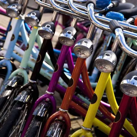 Western La Conchiglia